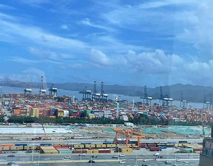 Superando o pico de demanda de frete: a Haomin Logistics garantiu com sucesso o desembara&ccedil;o aduaneiro e o envio de v&aacute;rios lotes de produtos a granel, incluindo produtos 3C, itens de hardware e pe&ccedil;as automotivas.